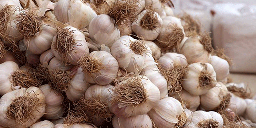 Patatesin, soğanın ve limonun ardından: Sarımsakta kriz kapıda