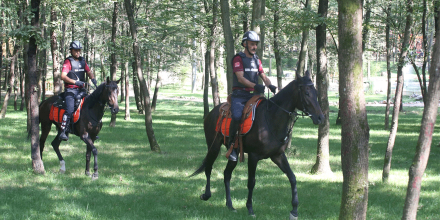 Atlı güvenlik, iş başında