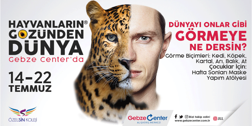 Hayvanların gözünden dünya sergisi