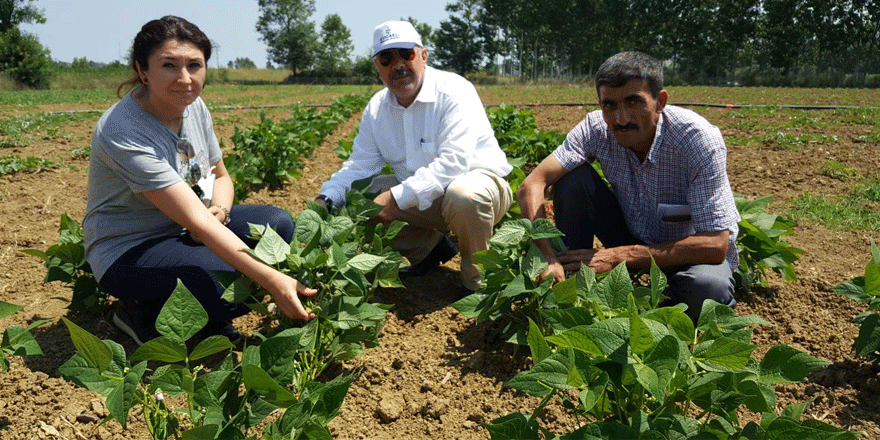 Çiftçilerin ürünlerini Büyükşehir kontrol ediyor