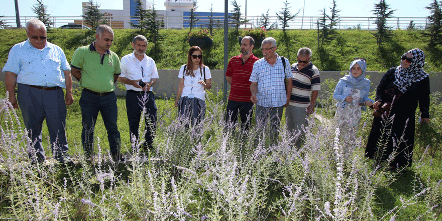 İstihdama yönelik yeni branş