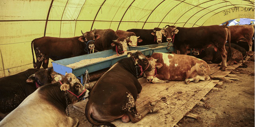 GEBZESPOR’A KURBAN OLSUN