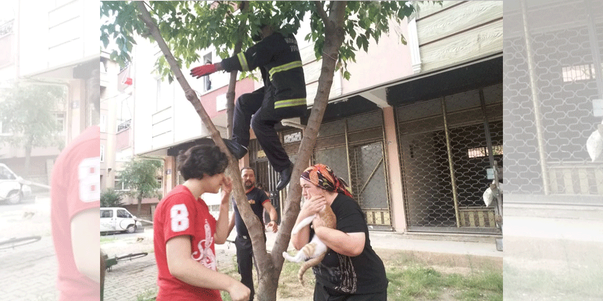 Kediyi itfaiye kurtardı