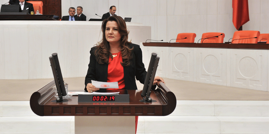 Sinek salgınını sordu