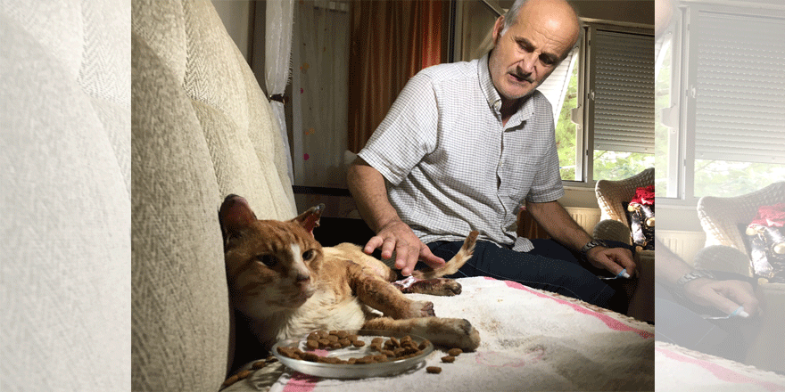 Bacakları yakılan kediye sahip çıktı