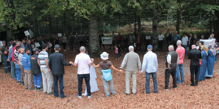 El ele tutuşarak, ağaçları korudular