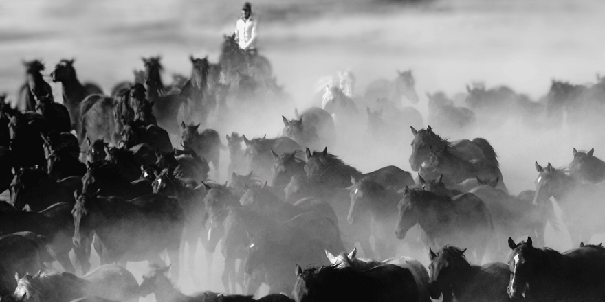 Doğanın güzelliklerini ortaya çıkardılar