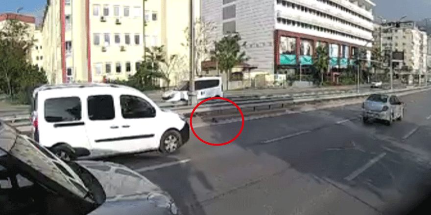 Minik kediyi son anda kurtardı