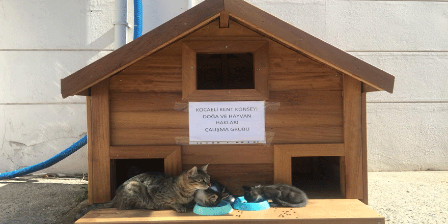 Örnek olacak çalışma