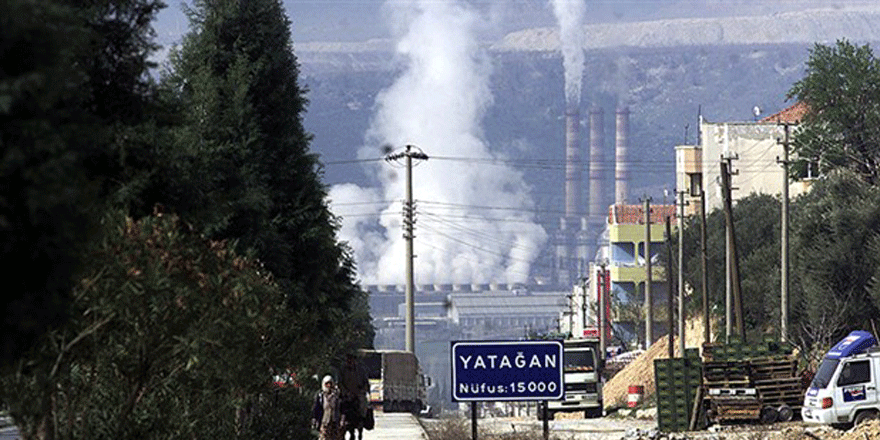 49 ülke büyüklüğünde talan