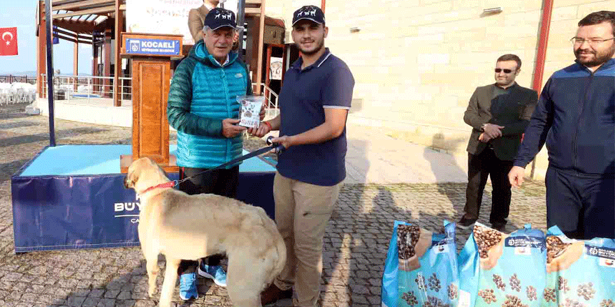 ‘’Sokak hayvanları hayatın bir parçasıdır’’