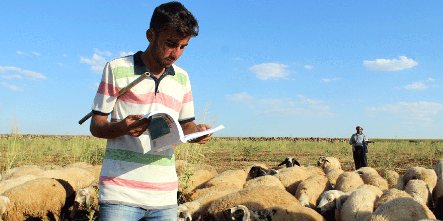 Çobanlıktan Diş Hekimliği’ne