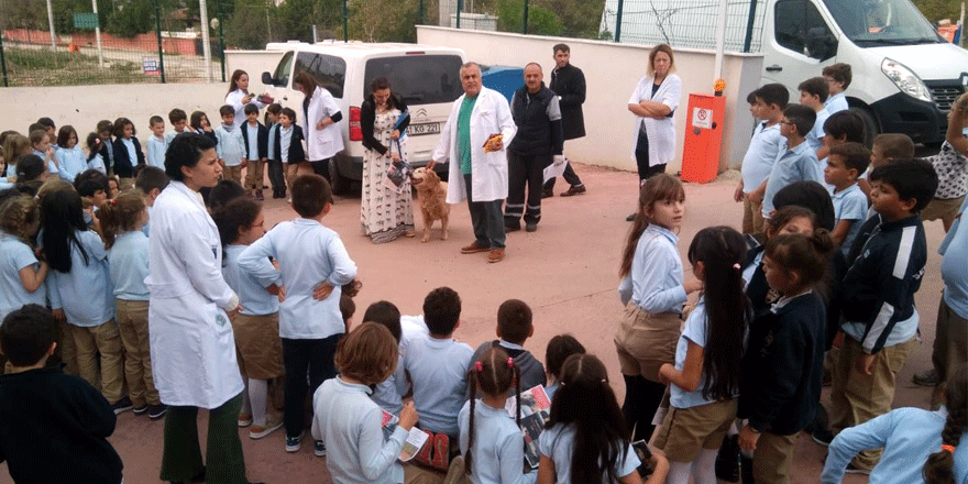 Sokak hayvanlarıyla ilgili etkinlik