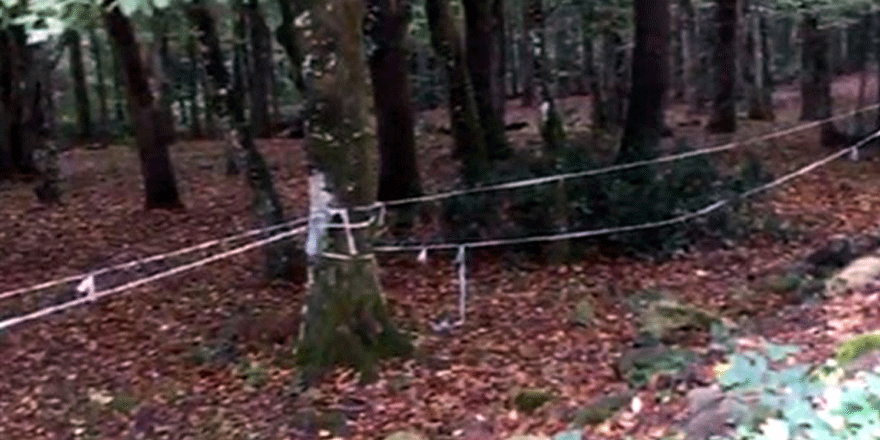 Polisten Belgrad Ormanı'nda 'Kaşıkçı' araması