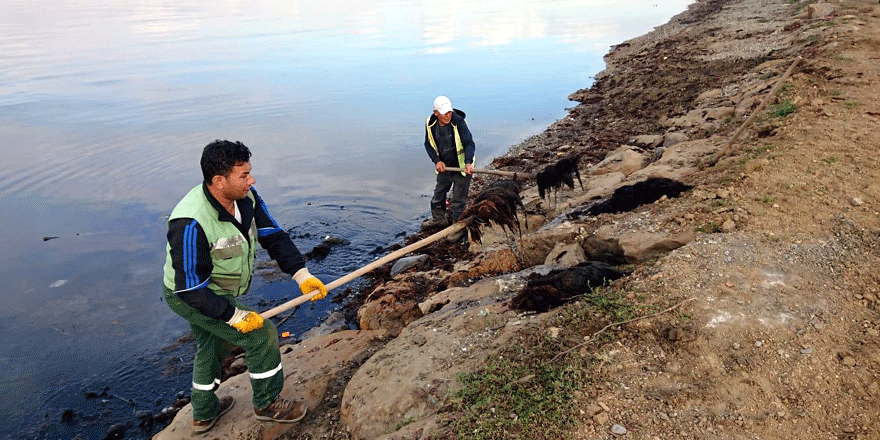 Sahillerden 12 kamyon çöp temizlendi