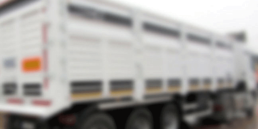 TIR'ın dorsesine sıkışarak öldü