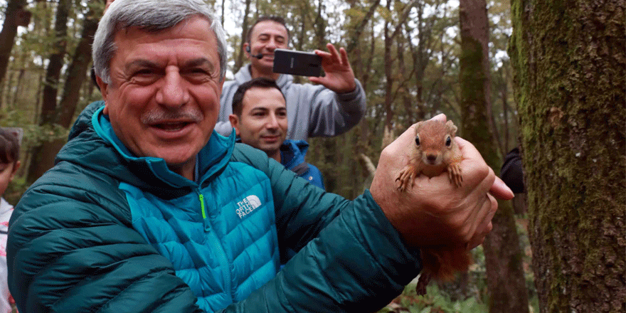 Sincap Badem, doğal yaşamına kavuştu