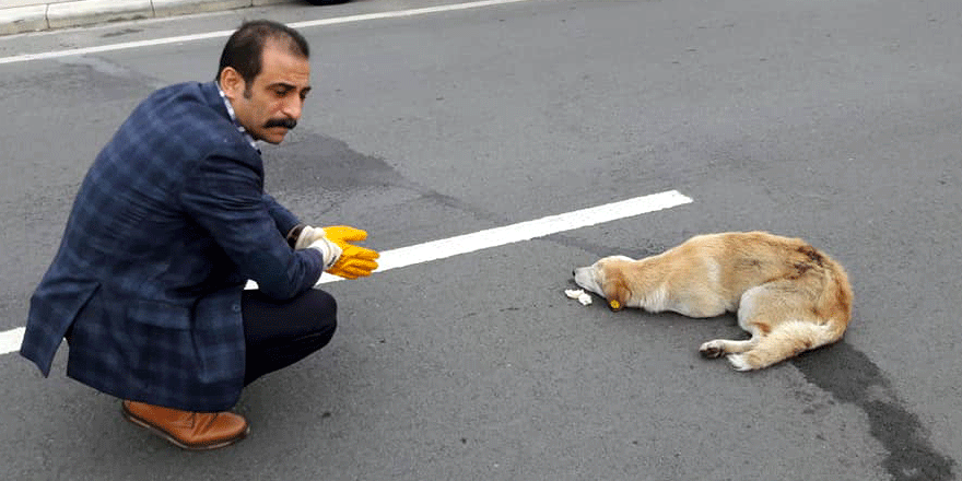 Arif Gülen’den örnek davranış