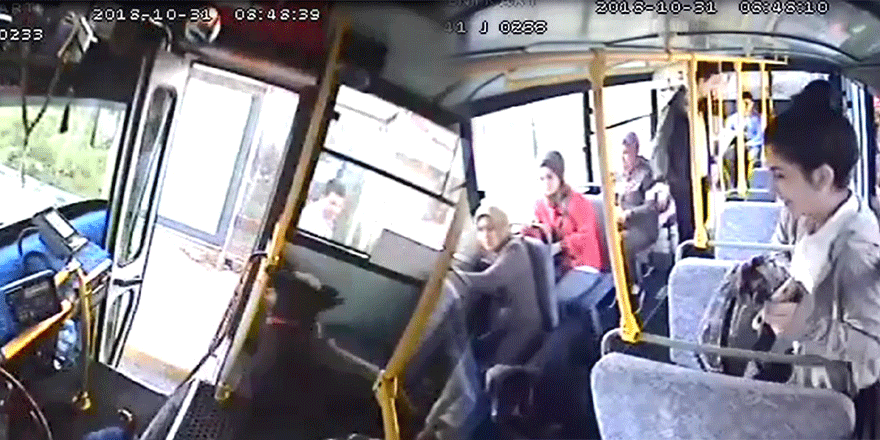 Halk otobüsüne giren köpek yolcuları korkuttu