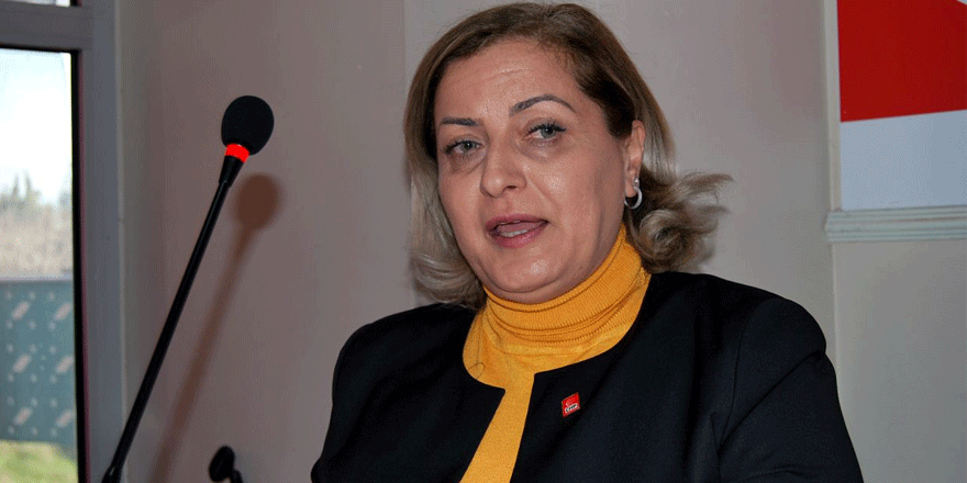 CHP Kadın Kolları Başkan istifa etti
