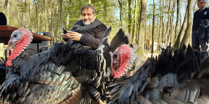 Çoşkun Aral, Ormanya’yı çok beğendi   