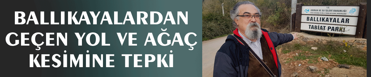Ballıkayalardan geçen yol ve ağaç kesimine tepki