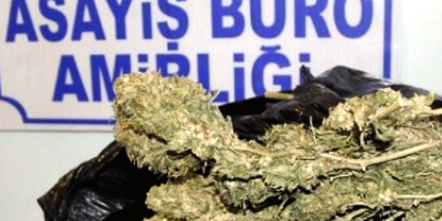 Zehir tacirlerine geçit yok