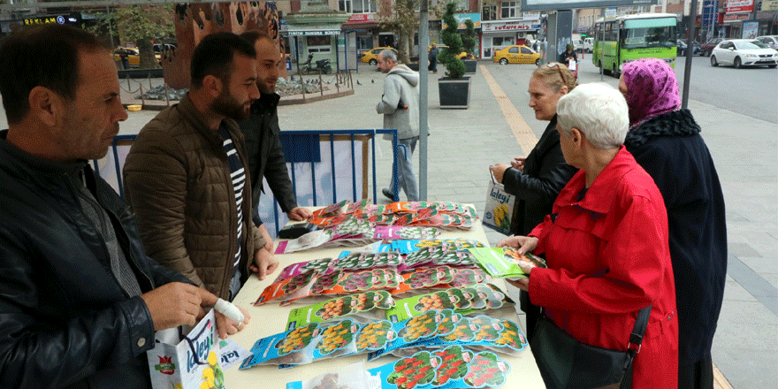 Kocaeli’nin en güzel laleleri satışta