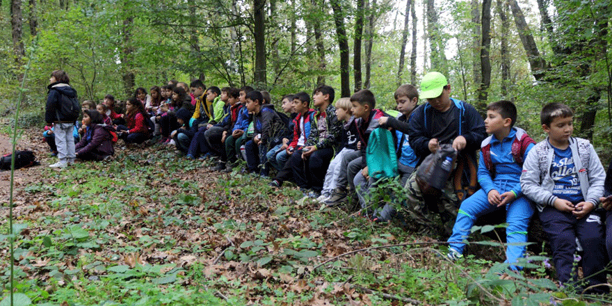 Doğa Kâşifleri Ormanya’da