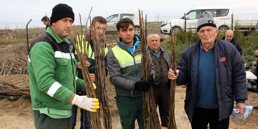 Büyükşehir fidan dağıtacak