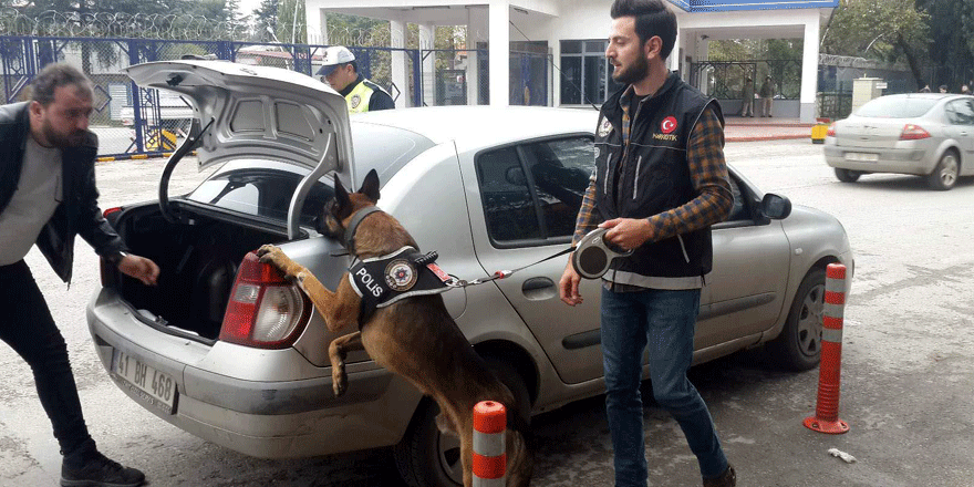 Araçlar, narkotik köpeği ile arandı