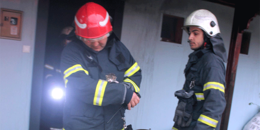 Kedilerin ısınması için yakılan soba çamaşırları tutuşturdu