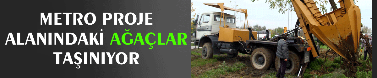 Metro proje alanındaki ağaçlar taşınıyor