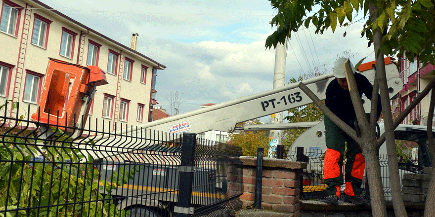 SEDAŞ ağaç dallarını temizliyor