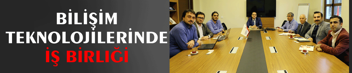 Bilişim Teknolojilerinde iş birliği