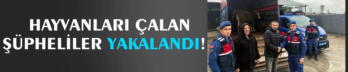  Hayvanları çalan şüpheliler yakalandı!