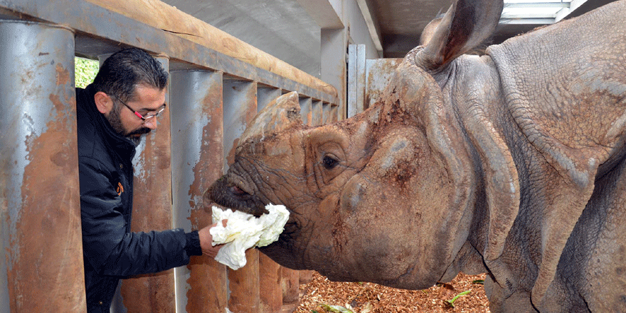 Hayvanat bahçesi sakinleri, kışlıklara alındı