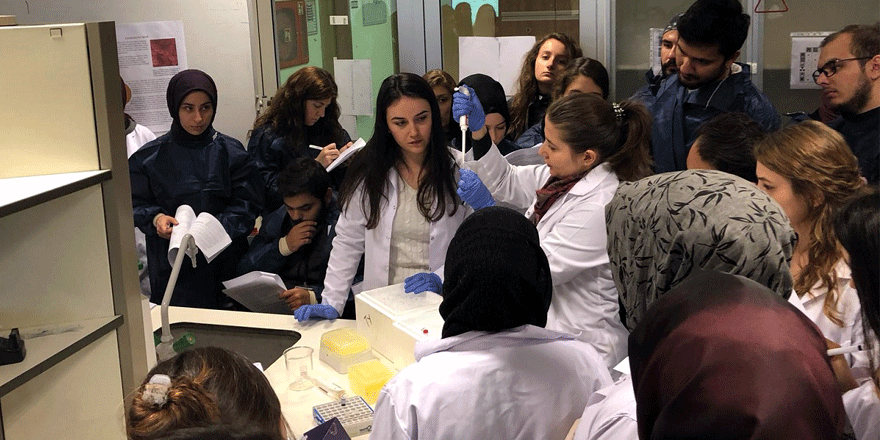 Öğrenciler bilime doydu