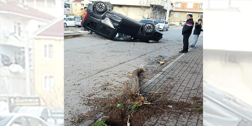 Önce yayaya sonra ağaca çarpıp takla attı