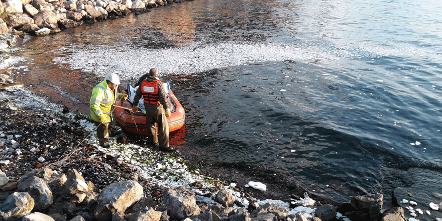 İzmit Körfezi'ne sızan palm yağı temizleniyor