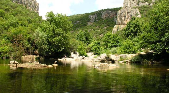 Balıklayalar ile ilgili soruya cevap yok