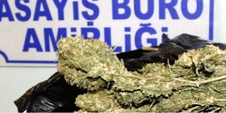 Uyuşturucu operasyonları sürüyor