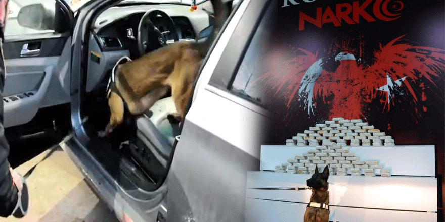 52,5 kilo eroin ele geçirildi