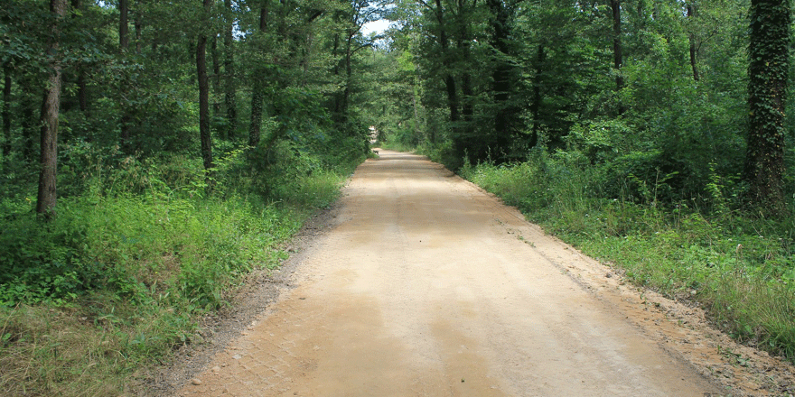 Gebze’ye 20 kilometre yürüyüş yolu