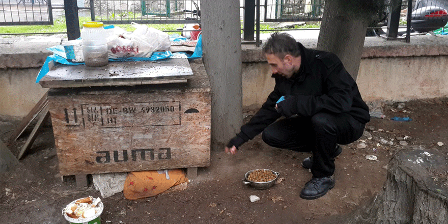 Yavru köpekler için kulübe yaptılar
