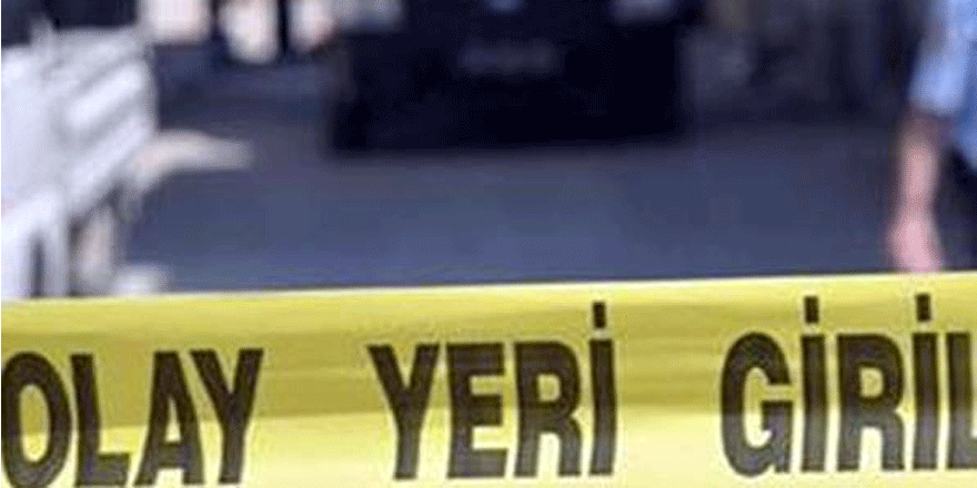 Yaşlı kadın evinde ölü bulundu