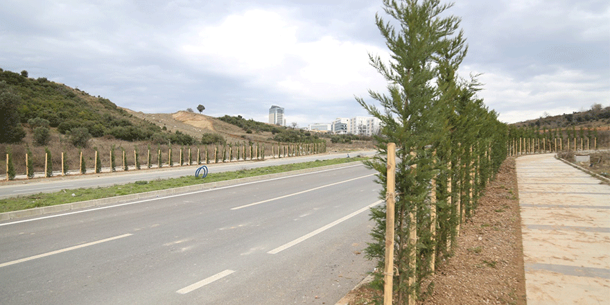 Bilişim Vadisi’ne 2 bin ağaç