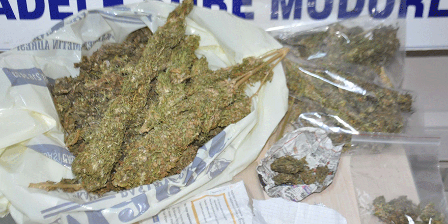 Uyuşturucu operasyonları sürüyor