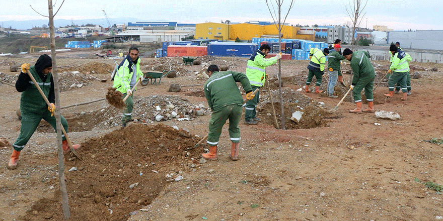Hafriyat alanına 10 bin ağaç