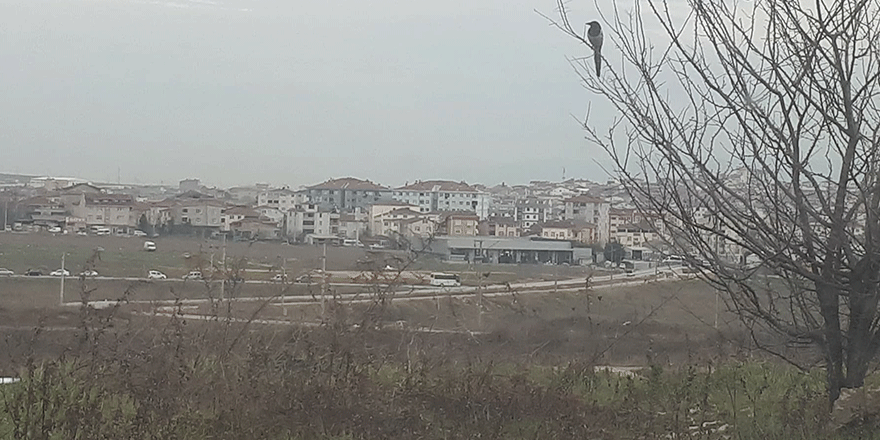 Gebze’nin son arazileri!